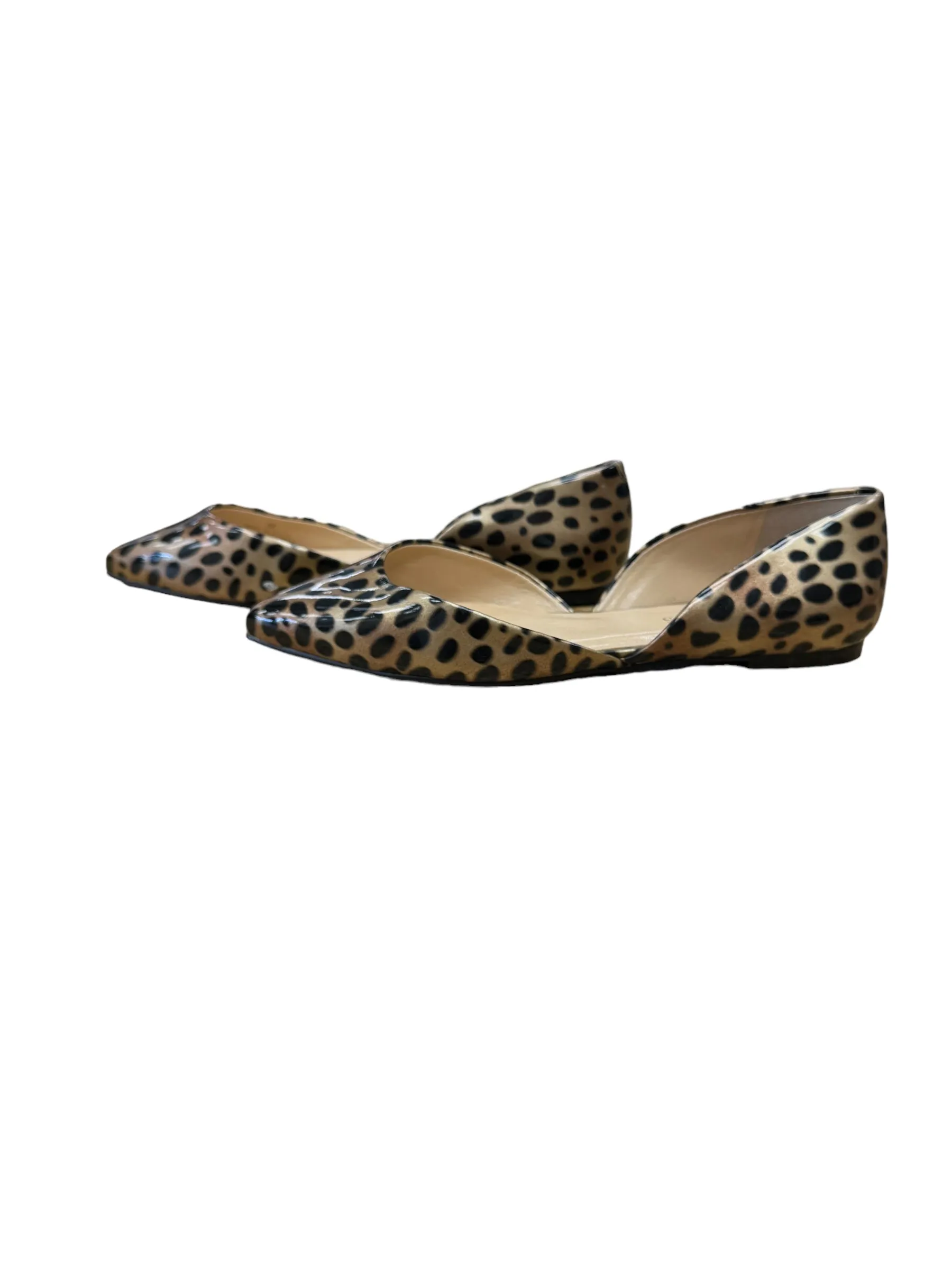 Animal Print Shoes Flats Talbots, Size 6