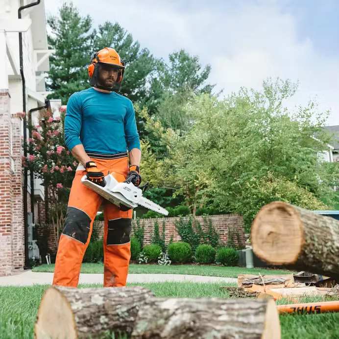 Stihl | MSA 160 C-B Battery-Powered Chainsaw | 12" bar w/ AP 300 S Battery & AL 301 Charger (MSA160-AP300S-AL301-COMBO)