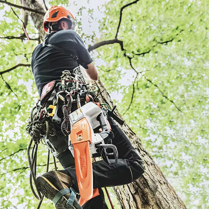 Stihl | MSA 161 T Battery-Powered Chainsaw | 12" bar w/ AP 200 battery & AL 301 charger (MSA161T-AP200-AL301-COMBO)