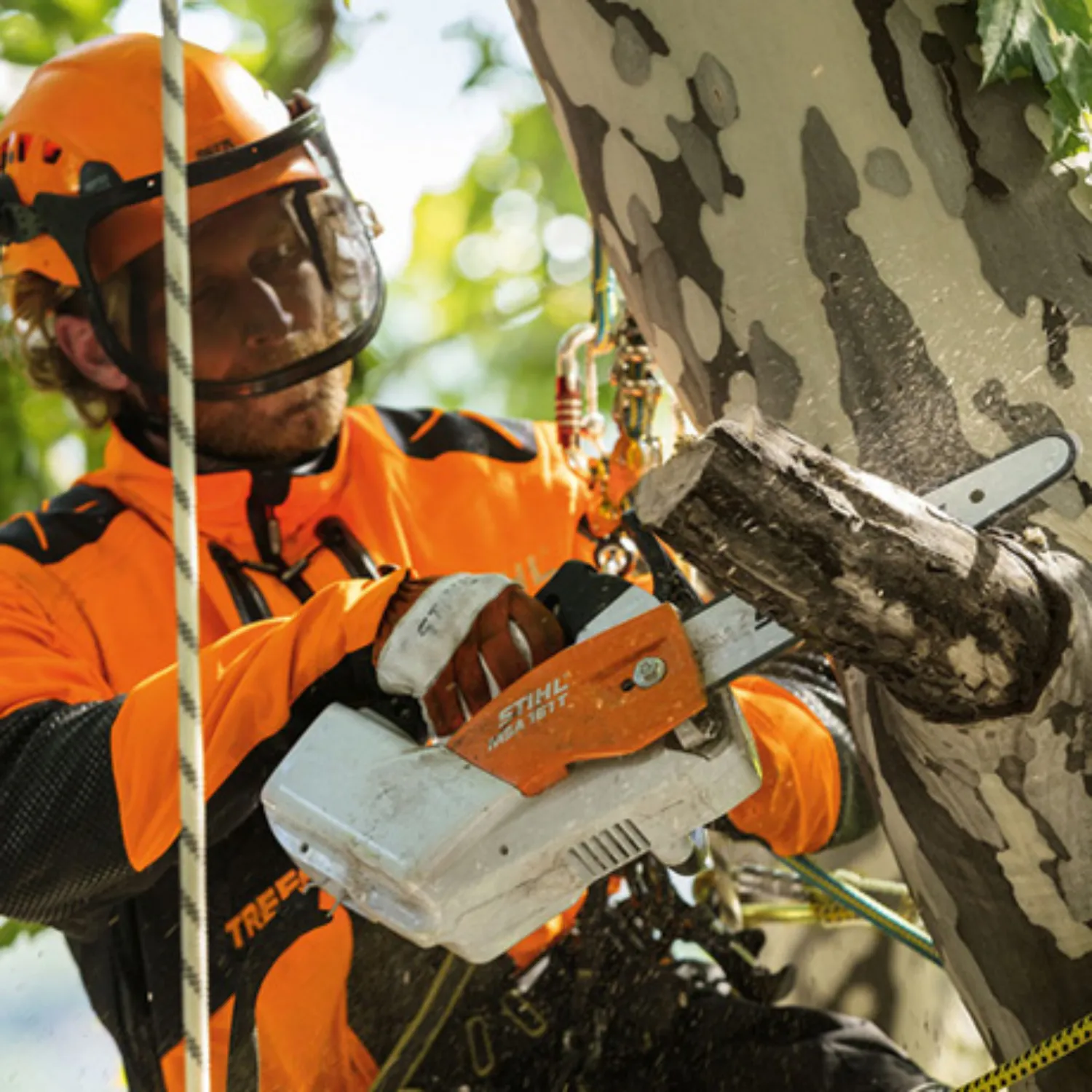 STIHL MSA 161 T Battery Powered Chainsaw with Quickstop | Tool Only