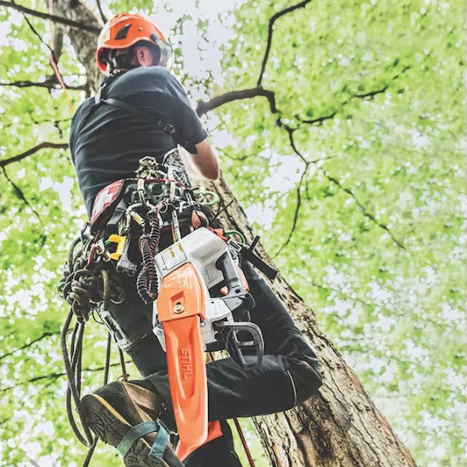 STIHL MSA 161 T Battery Powered Chainsaw with Quickstop | Tool Only