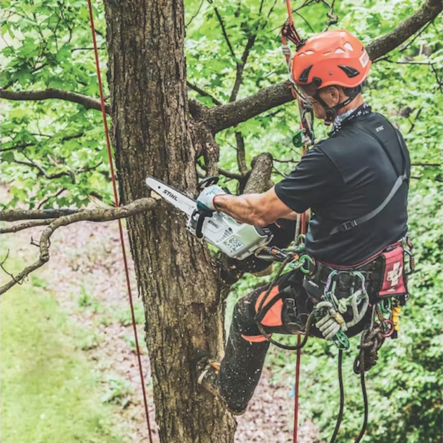 STIHL MSA 161 T Battery Powered Chainsaw with Quickstop | Tool Only