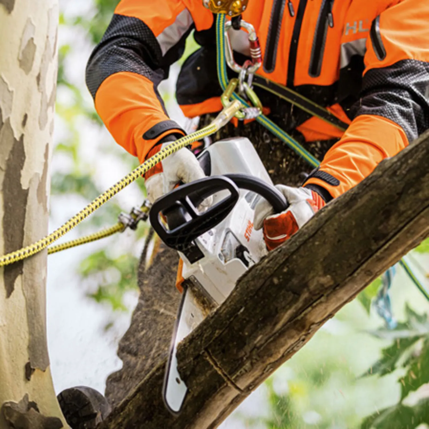 STIHL MSA 161 T Battery Powered Chainsaw with Quickstop | Tool Only