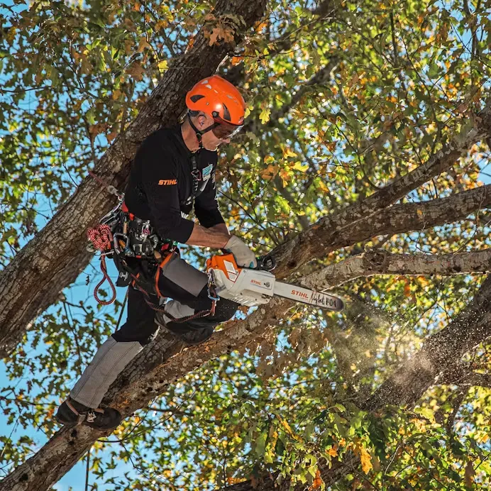 Stihl | MSA 220 TC-O Battery-Powered Chainsaw | 14" bar w/ AP 300 S battery & AL 301 charger (MSA220T4-AP300S-AL301-COMBO)