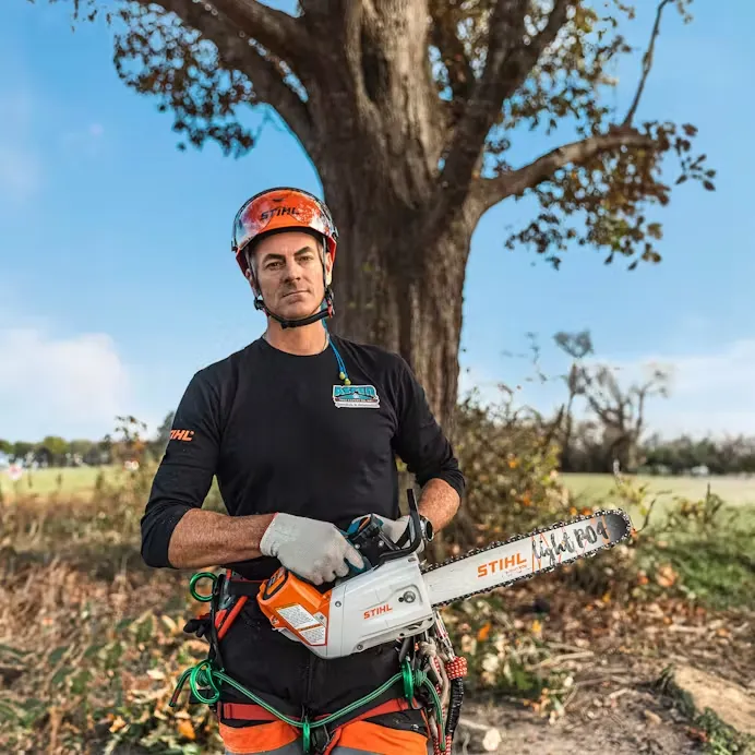 Stihl | MSA 220 TC-O Battery-Powered Chainsaw | 14" bar w/ AP 300 S battery & AL 301 charger (MSA220T4-AP300S-AL301-COMBO)