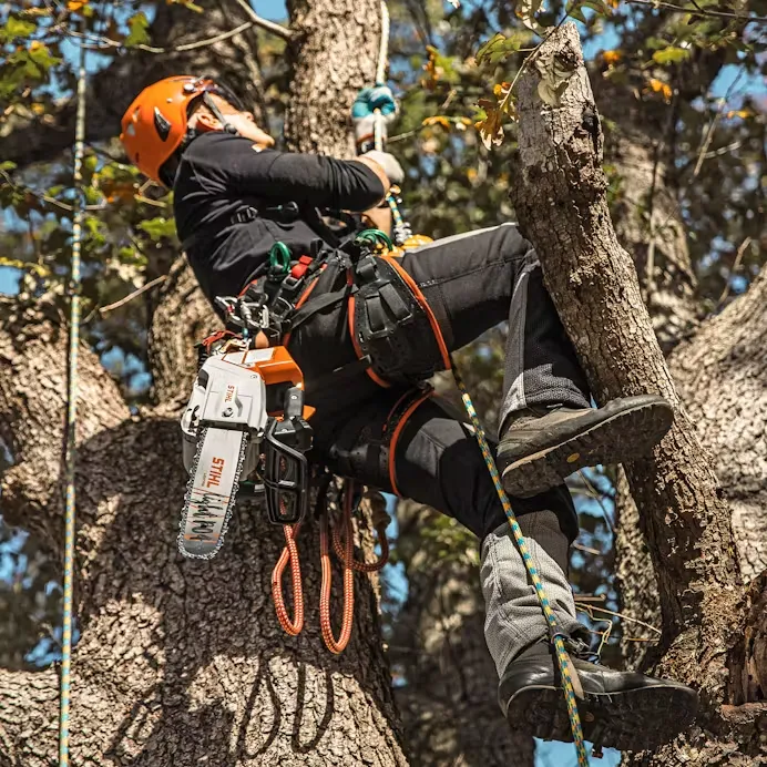 Stihl | MSA 220 TC-O Battery-Powered Chainsaw | 14" bar w/ AP 500 S battery & AL 301 charger (MSA220T4-AP500S-AL301-COMBO)