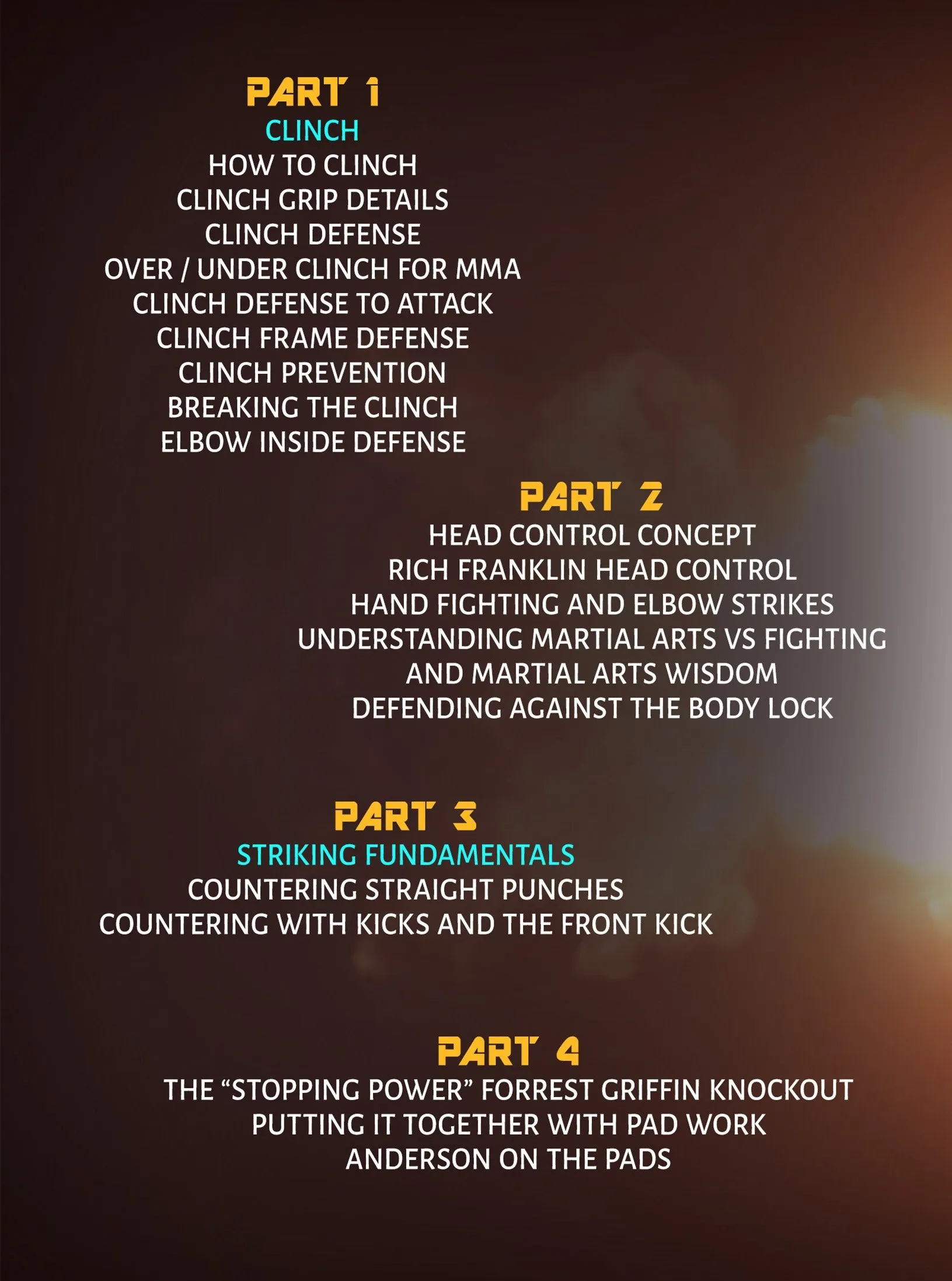 The Comprehensive Strikers Guide by Anderson Silva