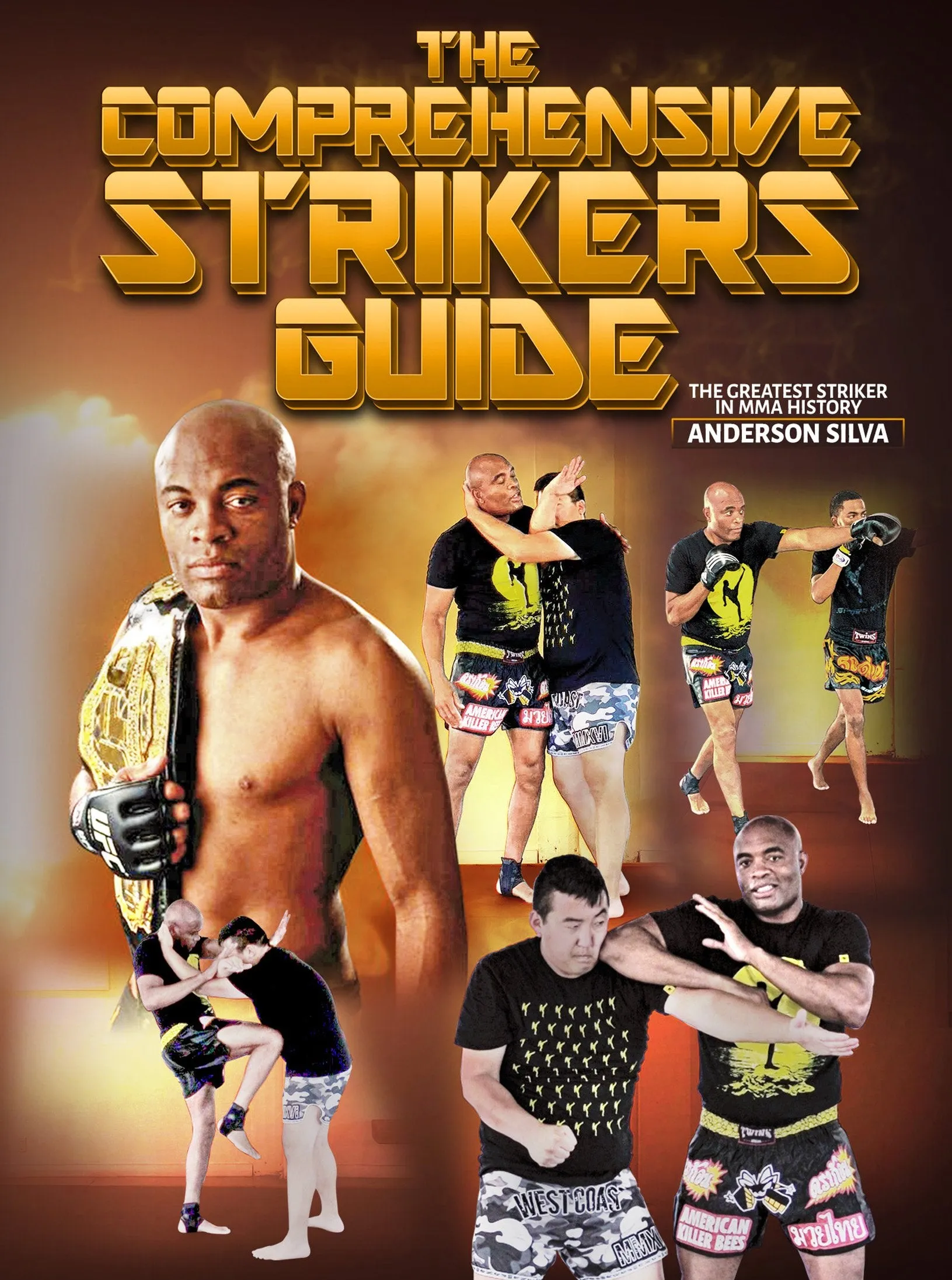 The Comprehensive Strikers Guide by Anderson Silva